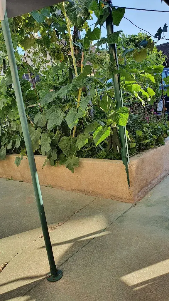 Goncalves Rodrigues Reguengo Maria_Gretz-Armainvilliers_slider_image_3