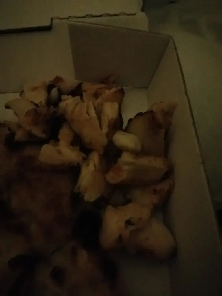 Menu_Dream's Pizza Gretz Armainvilliers_Gretz-Armainvilliers_image_8