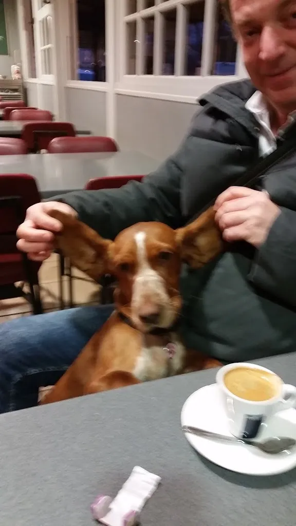 Menu_Les Acacias_Morigny-Champigny_image_7