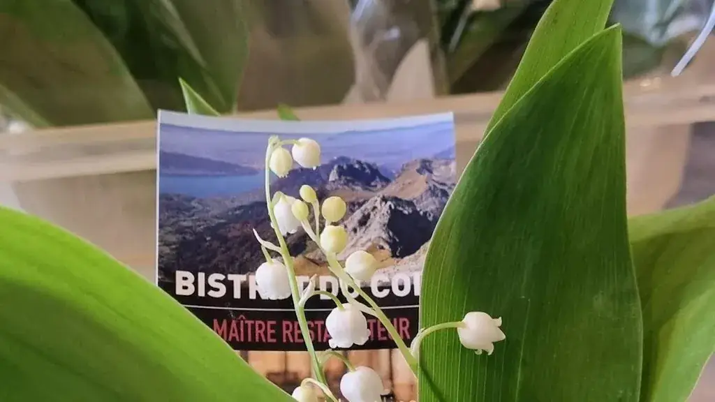 Bistrot Du Coin_Doussard_slider_image_3