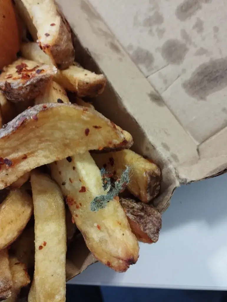 Bechara Fayad_Serenay_Jouy-en-Josas_reseña