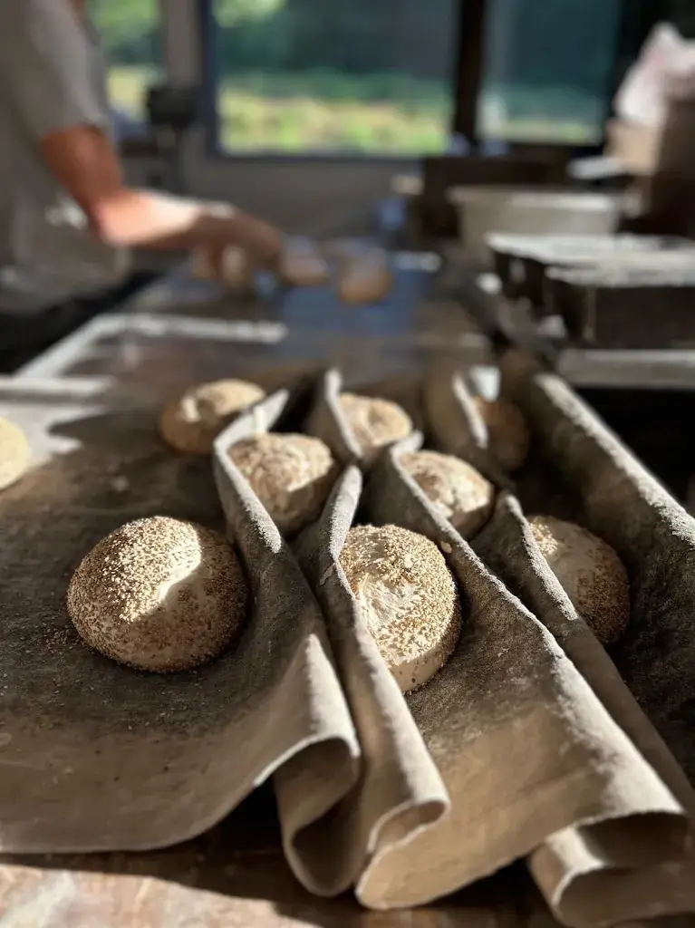 Menu_La Tartine_Doussard_image_7