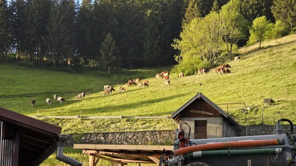 Paul and Lisa (365sol.travel)_La Ferme - Restaurant col de la Forclaz - Talloires_Talloires-Montmin_review