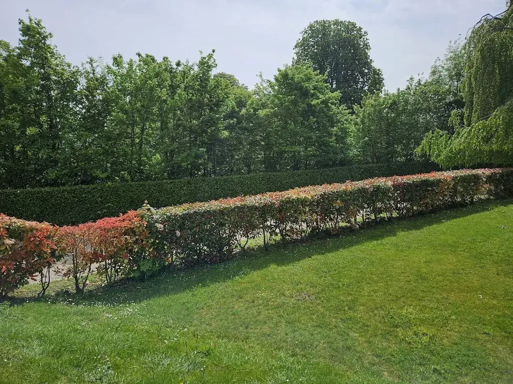 Frank Johns_The Castle of Hardricourt_Hardricourt_review