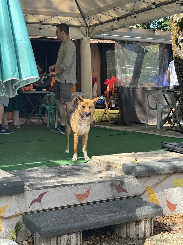 Laura C_LA BASE Lathuile_Lathuile_review