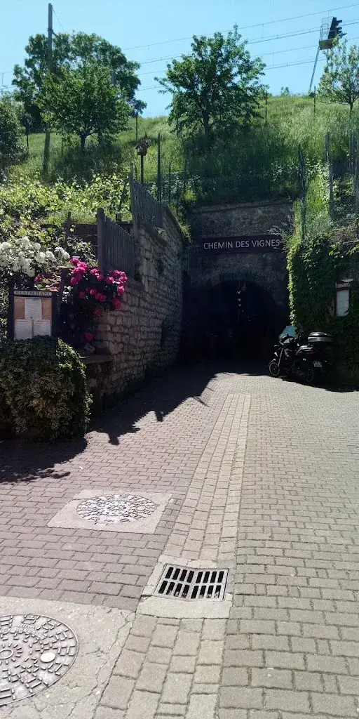 Tsune Kimura_Issy Guinguette_Issy-les-Moulineaux_avis