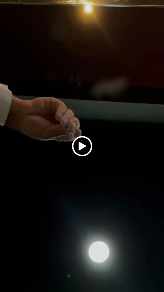 MASA RESTAURANT_Thillay_slider_image_2