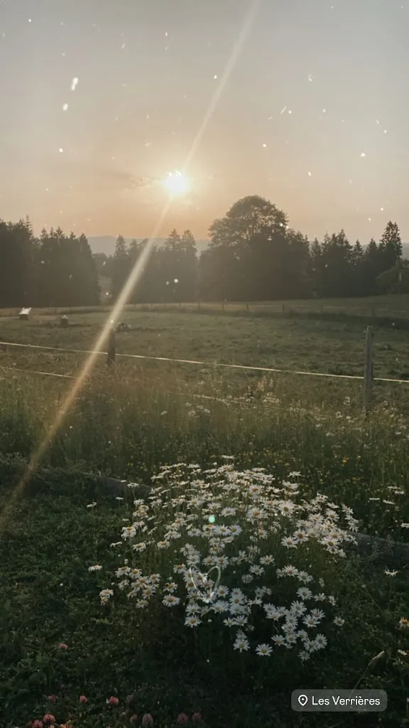 Karine Gafner_Buvette d'alpage du Mont-Barres_Verrières_review