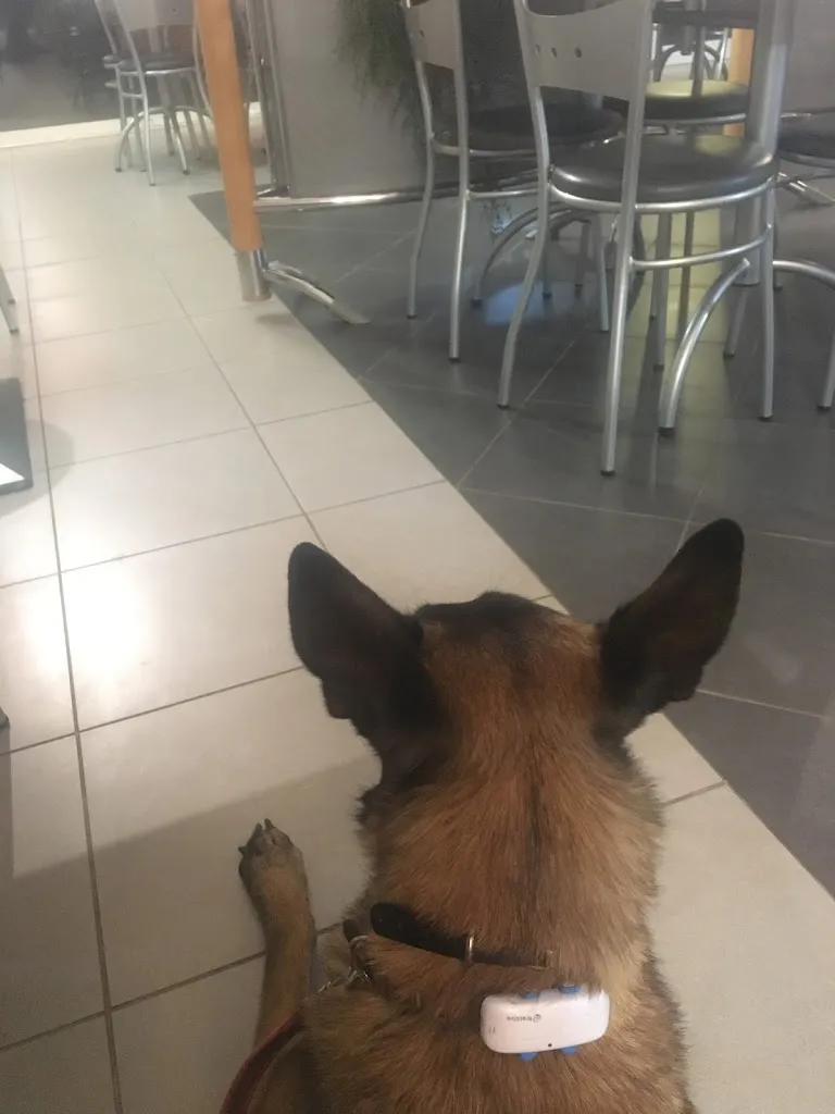 André Lacour_Entre Ciel et Terre_Ferté-Gaucher_recensione