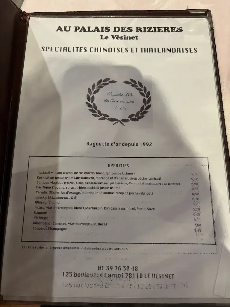 Menu_Au Palais des Rizières._Vésinet_image_1