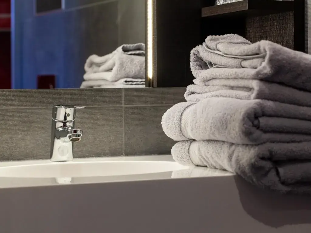 Logis Hôtel de la Tour_Dunières_slider_image_3