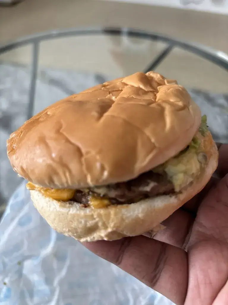 Valentin Sivakuru_Fox Burger_Mesnil-le-Roi_avis