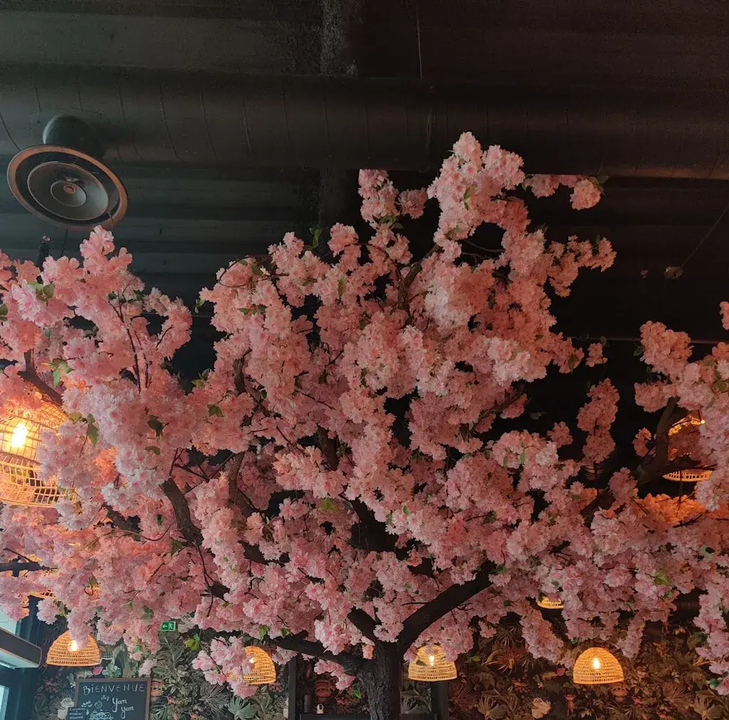 Laëtitia Z_Yamyam_Chesnay-Rocquencourt_review