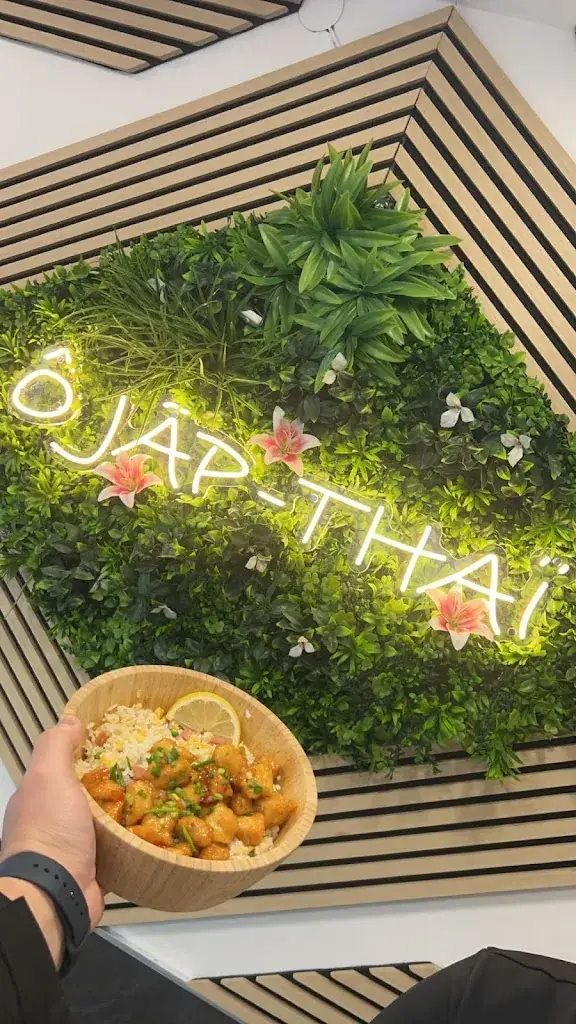 Menu_Ô JAP THAÏ_Longjumeau_image_5