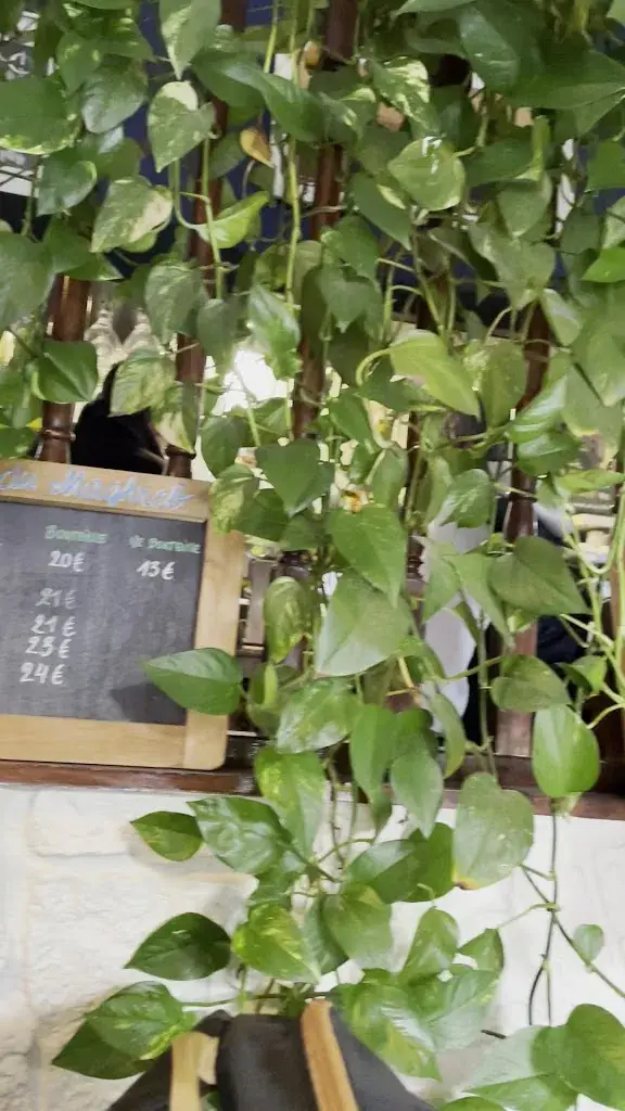 Khishigmaa Enkhtur_La Fleur des Lilas_Lilas_recensione