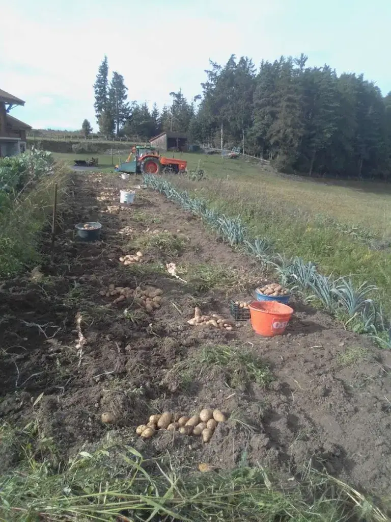 Zarli Vincent_Dunières_slider_image_1