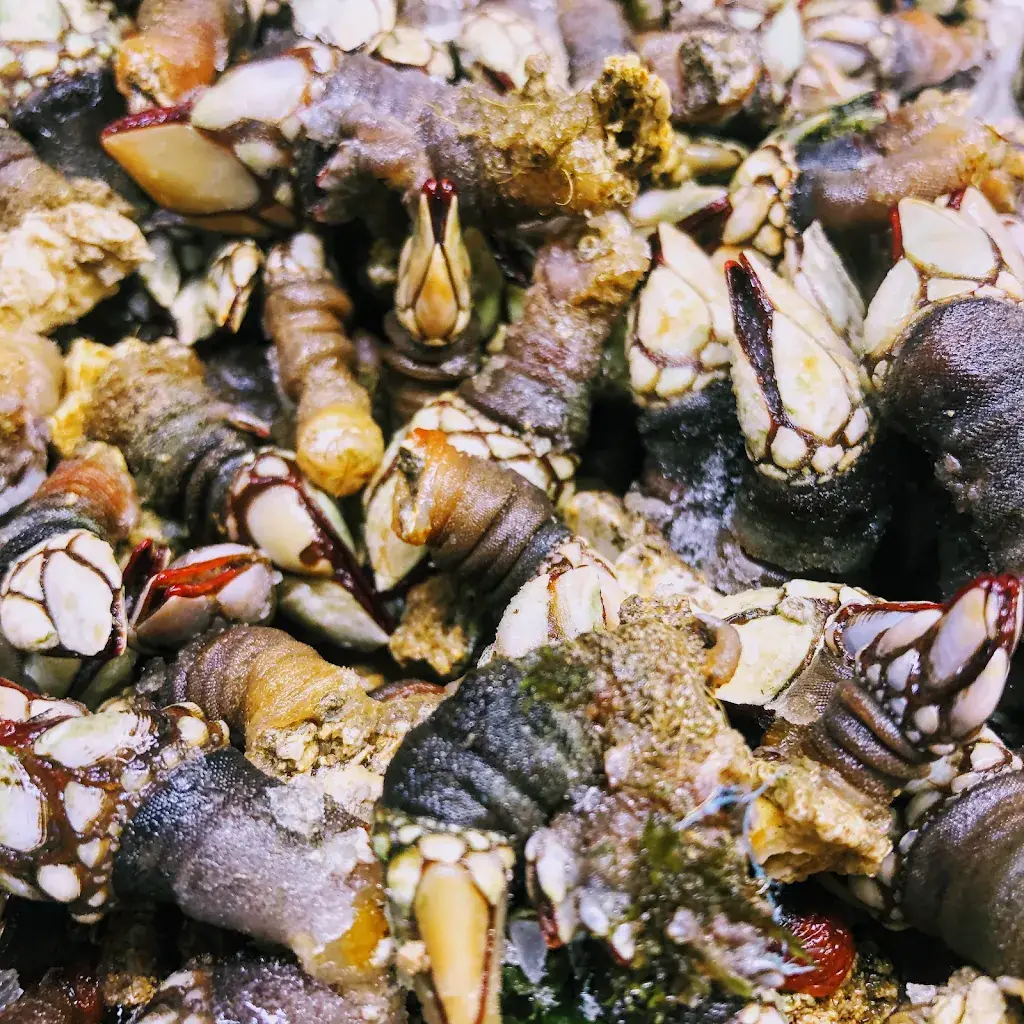 Restaurant Shao Lisses / Buffet Wok Grillade Asiatique et Indien - Vente à Emporter / 91 Essonnes_Lisses_slider_image_3