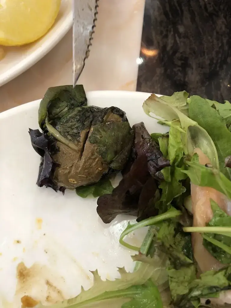 samin mohamadi_Wafu_Lisses_review