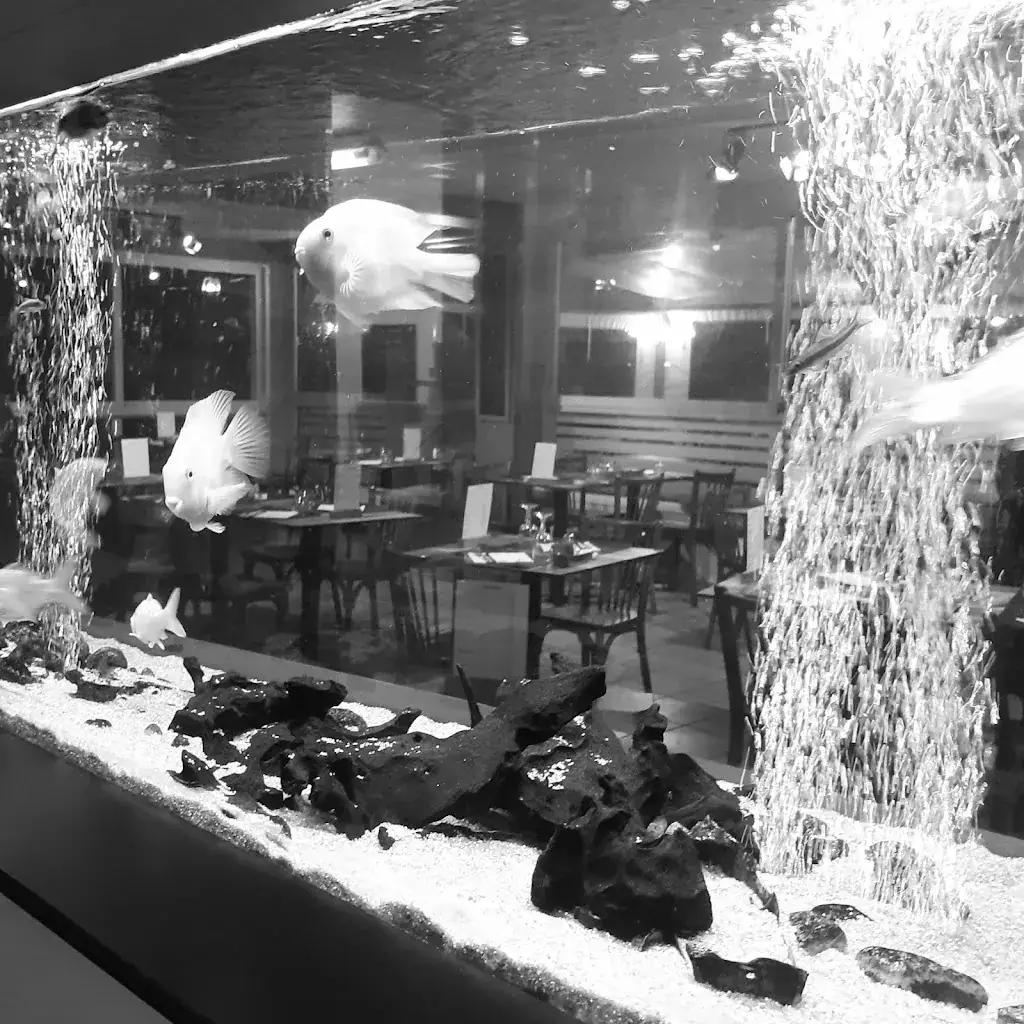 L'Helvetia_Serrières_slider_image_1