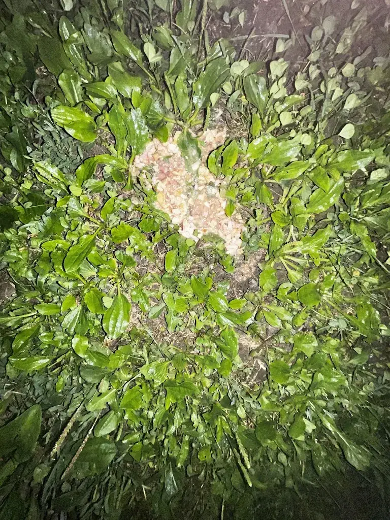 Nolhann Menu_Nefis Kebab_Maurecourt_review