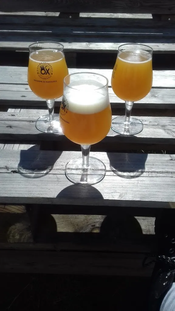 Menu_Brasserie artisanale Ox - Marcoussis_Marcoussis_imagen_7