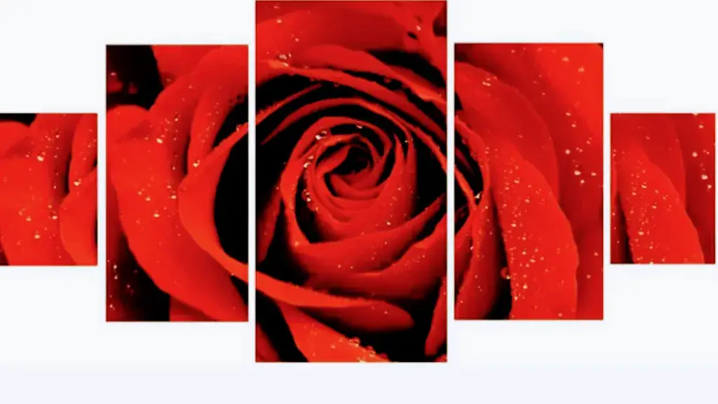 Restaurant La Rose Rouge Decines_Décines-Charpieu_slider_image_3