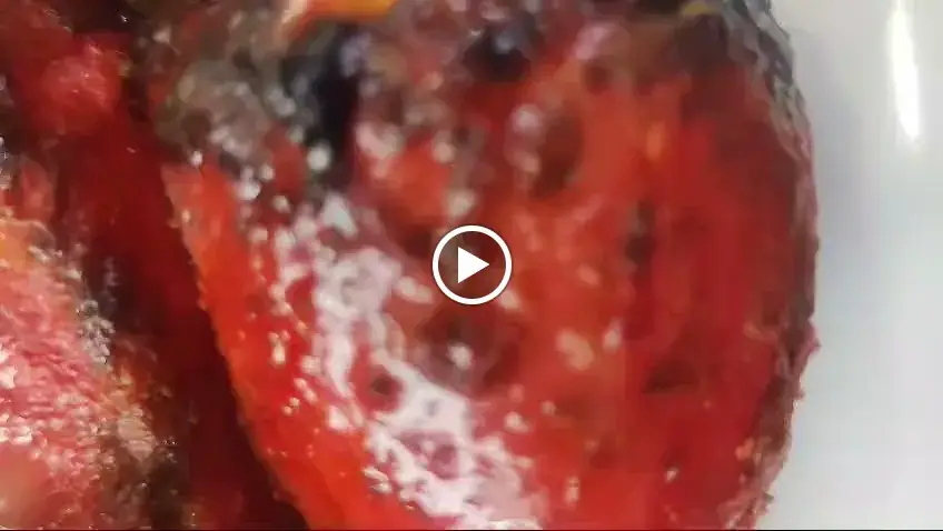 Amoureux de briyanaan_Melun_slider_image_2