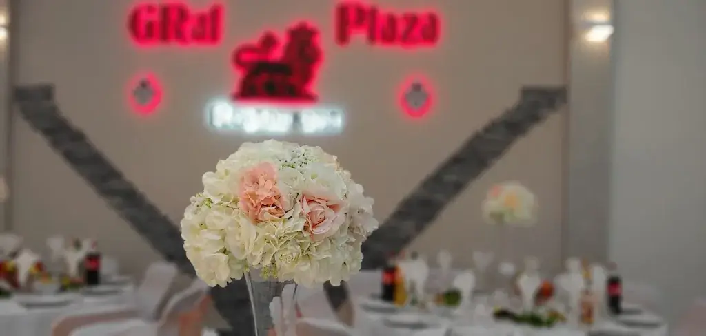 Restaurant Graf Plaza_Décines-Charpieu_slider_image_3