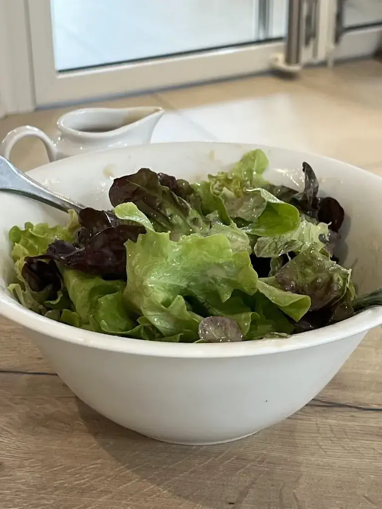 OMAR CHAHIN_Les Cygnes_Margencel_recensione