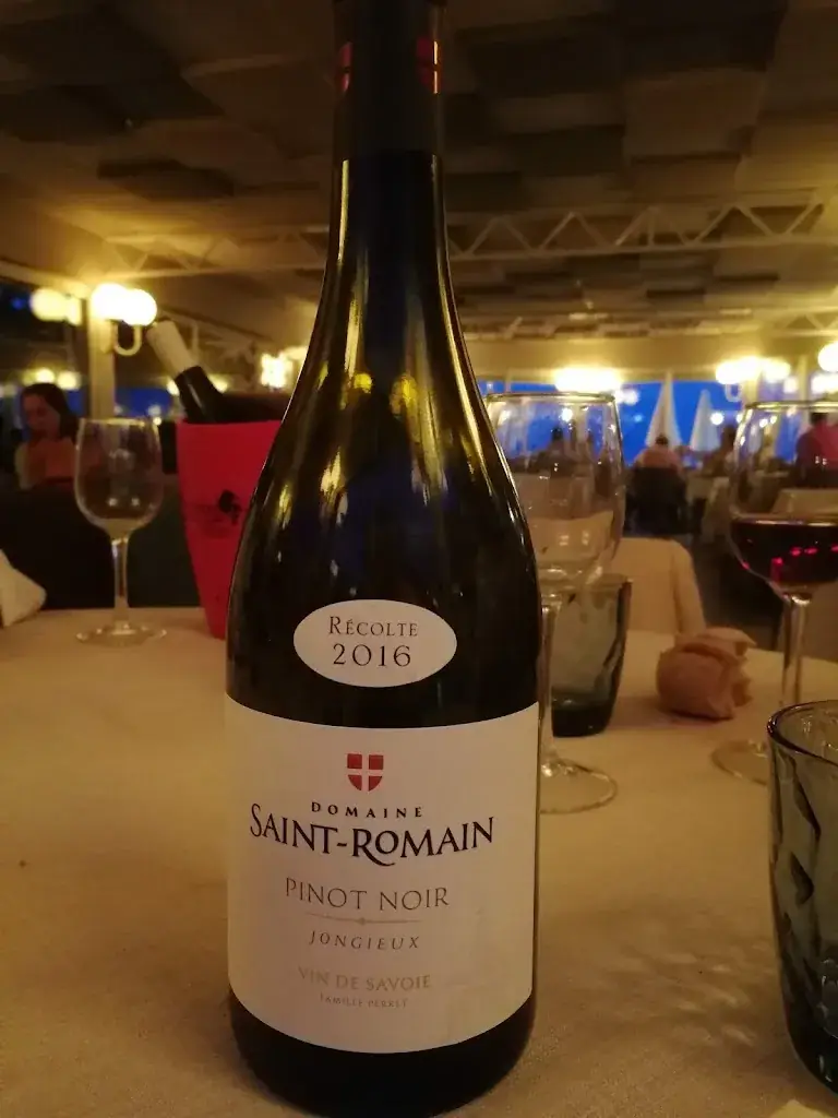 André P. Boehlen_Les Cygnes_Margencel_recensione