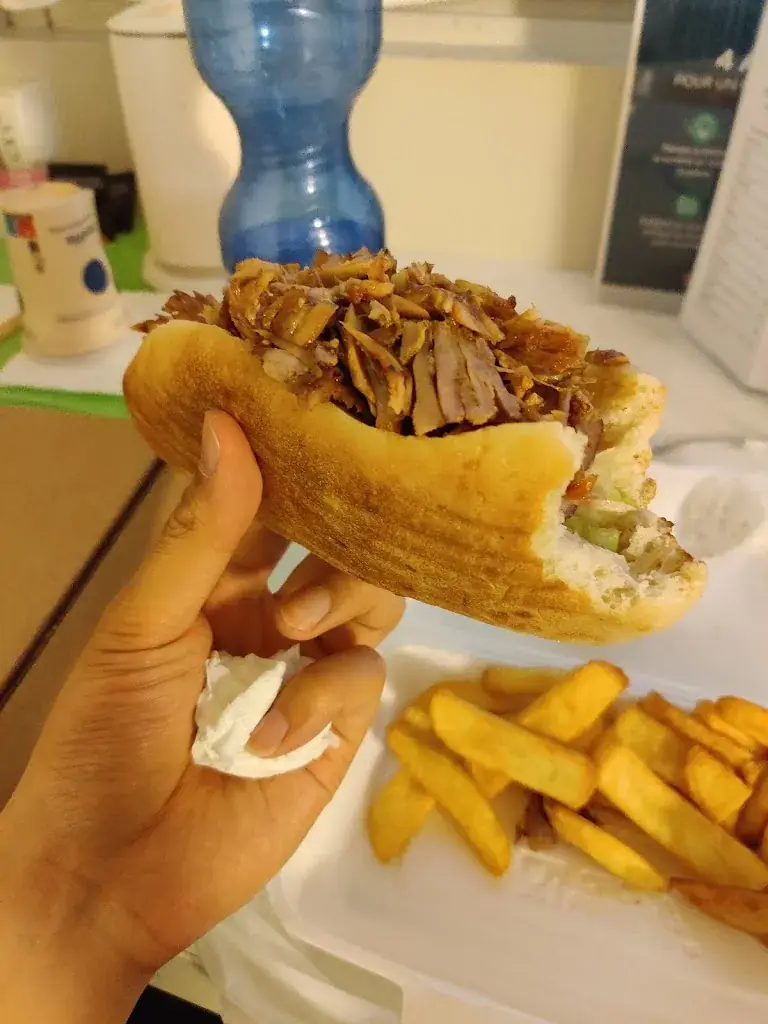 Angelo Zhu_TAD-AL GRILL KEBAB HOUSE_Morangis_review