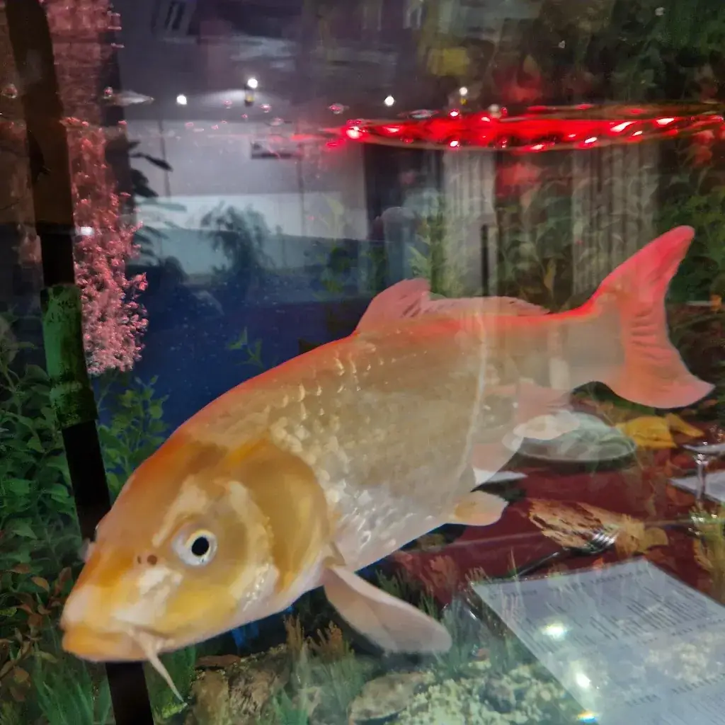 Michel Leulier_Chidragona_Paray-Vieille-Poste_review