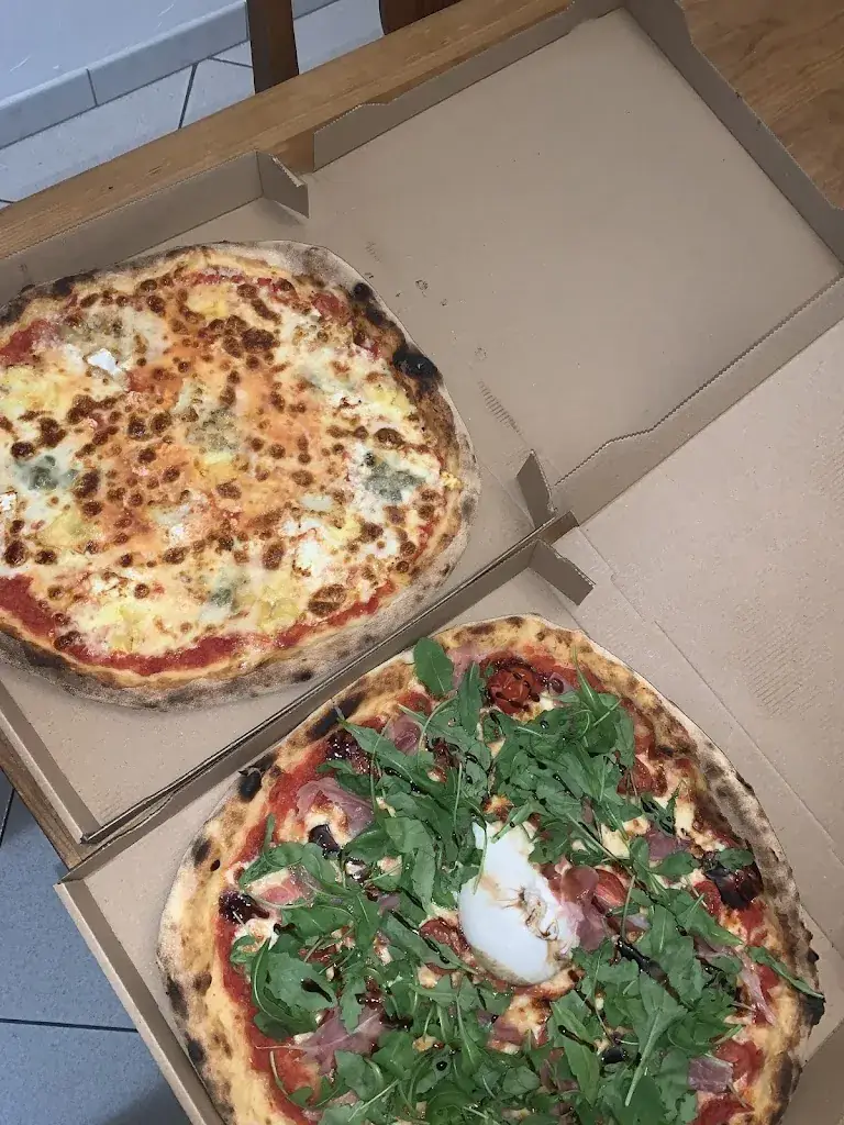 Marine Schofer_La Noiseenne_Noiseau_review