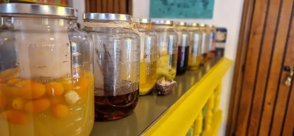 Jessica H_Le French Dodo_Montrouge_review