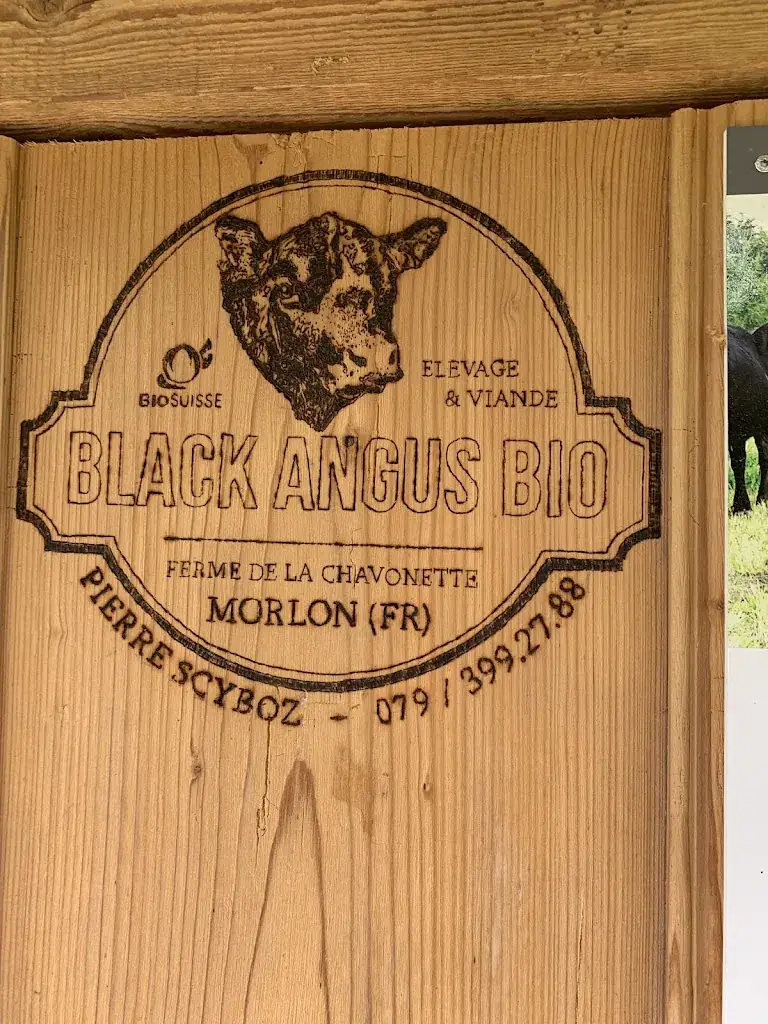 Marc Berner_Goya onda_Morlon_reseña