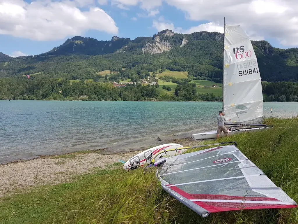 Gustavo Lorenzo_Goya onda_Morlon_reseña