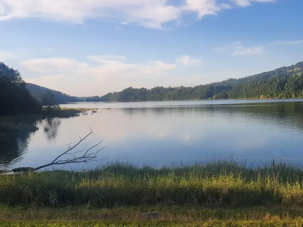 Goya onda_Morlon_slider_image_3