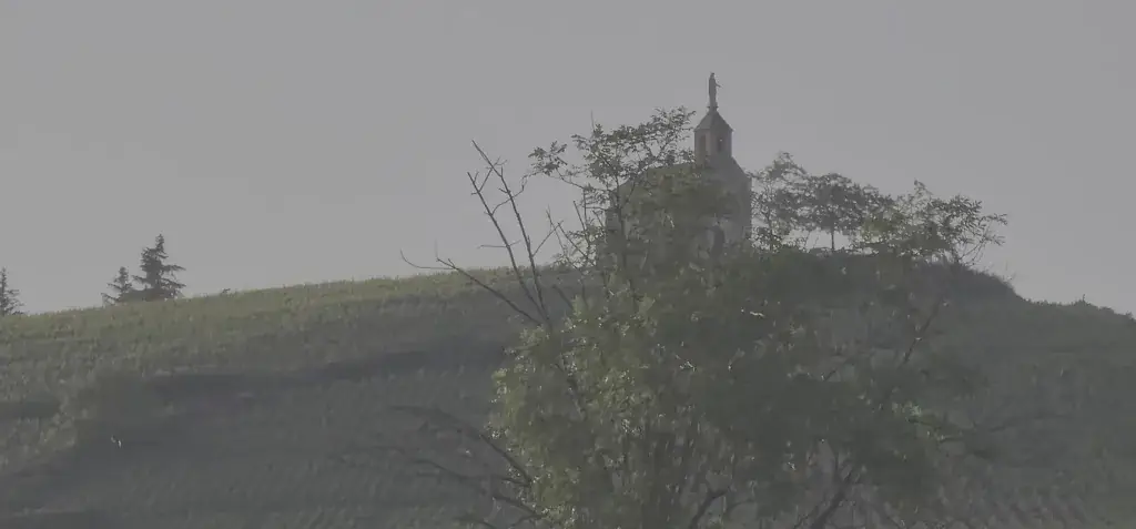 Domaine de la Madone - Auberge- Beaujolais Winegrower_Fleurie_slider_image_2