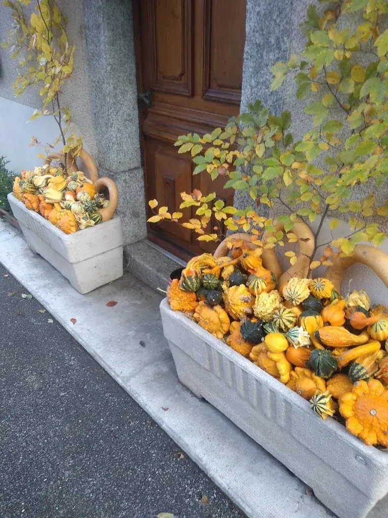 Menu_Chez le Suisse_Reyvroz_image_6