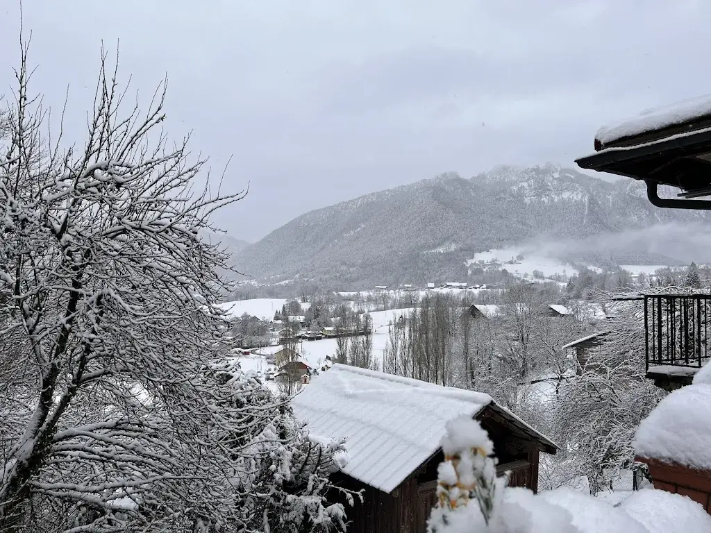 GUENEZ Eric_Chez le Suisse_Reyvroz_review