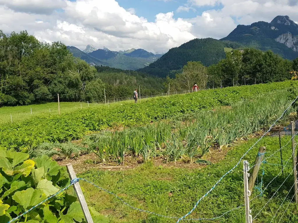 Chez le Suisse_Reyvroz_slider_image_3