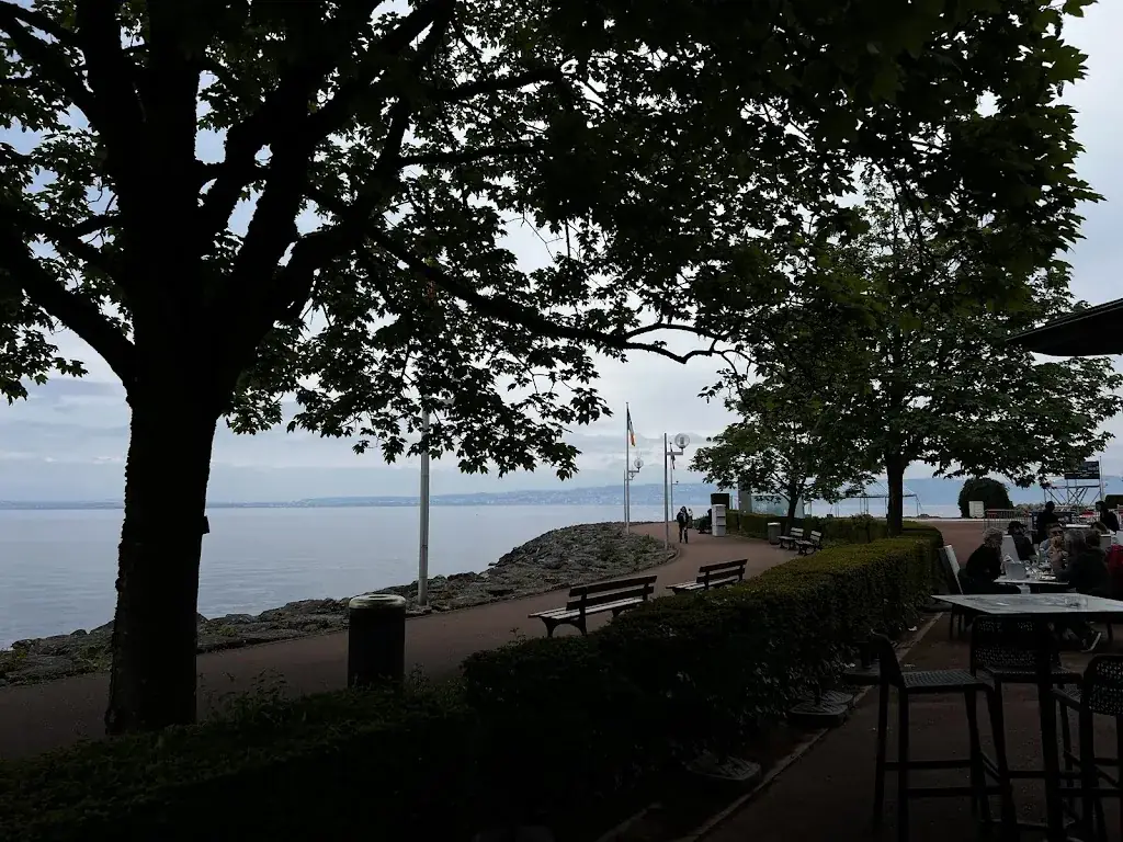 Carol Cummings_Le Court-Circuit_Évian-les-Bains_review