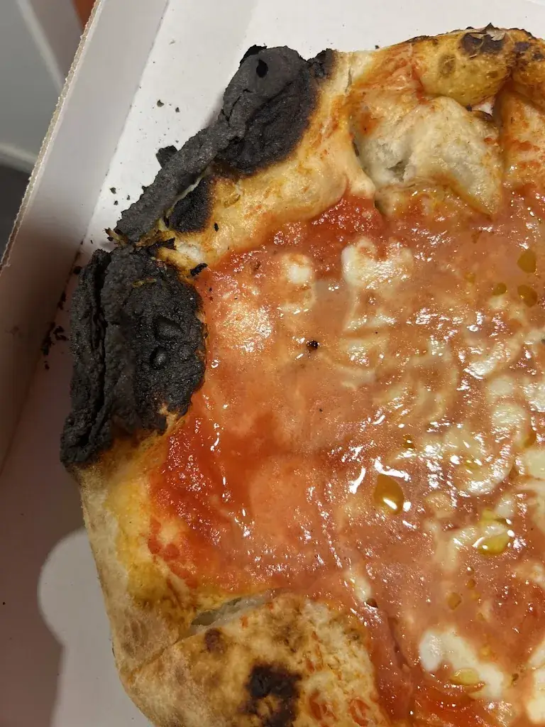 Saleem Albeik_Toscanacci_Pantin_review