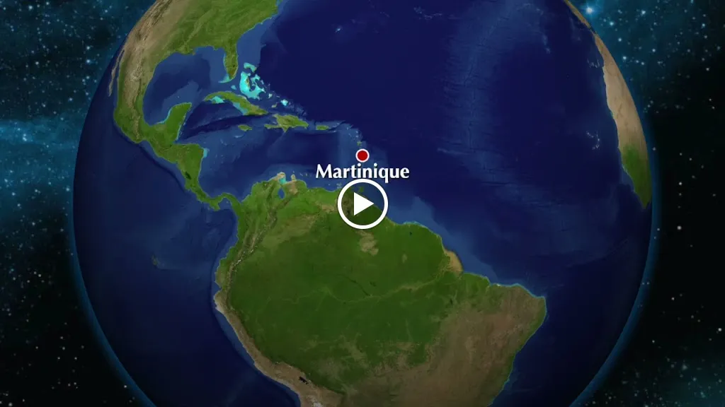 L'Arum des îles_Rueil-Malmaison_slider_image_2