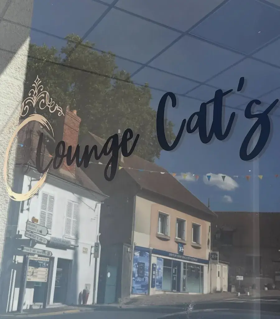 ô lounge cat’s restaurant in Saint-Chéron