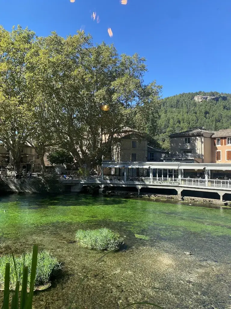 Lianne Yang_Le Château Olive et Raisin, restaurant, épicerie provençale, cave à vin NOUVEAU PROPRIETAIRE_Fontaine-de-Vaucluse_review