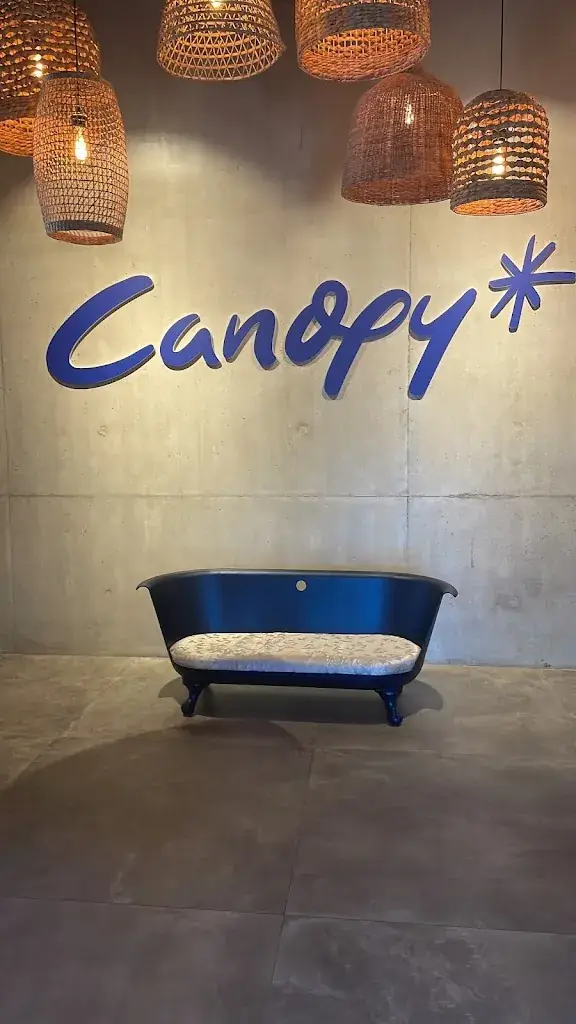 Oladayo Oladele_Canopy_Échirolles_review