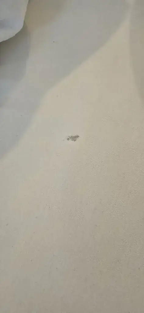 Rocio T E_Hôtel de la Dent-du-Midi_Saint-Maurice_recensione