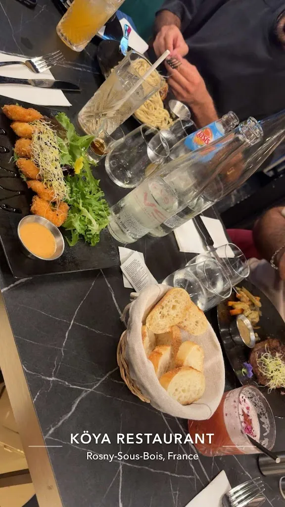 Yaşam Bakan_KOYA_Rosny-sous-Bois_review