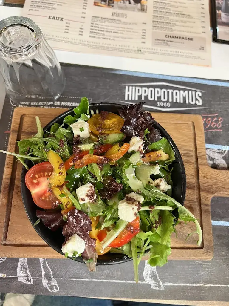 Vasilis Skarleas_Hippopotamus_Échirolles_recensione